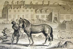 Equestrian groom at Welbeck Abbey, 1657.