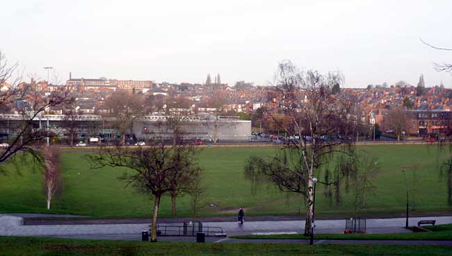 Forest Fields from the Forest Recreation Ground. 