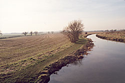 Flat landscapes of North Nottinghamshire (Clayworth)