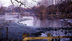 The Fleet at Collingham: a medieval channel of the River Trent (Photograph by A J Howard, published in D Knight and A J Howard, Trent Valley Landscapes, Heritage Marketing & Publications, 2005).