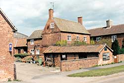 Lilac Farm