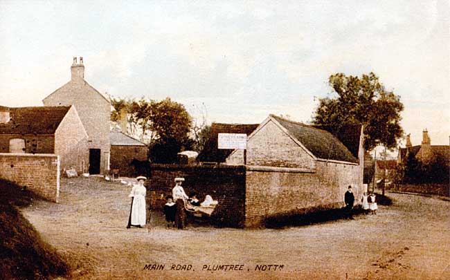 Main Street, Plumtree c. 1920.