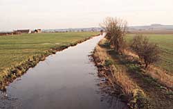 The Chesterfield Canal at Clayworth.